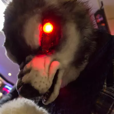 fsb-12.jpg of cons/Fursuitbowlen-Wiesbaden-2013/