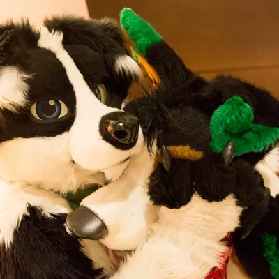 3B9C0020.jpg of cons/MFF-2018/