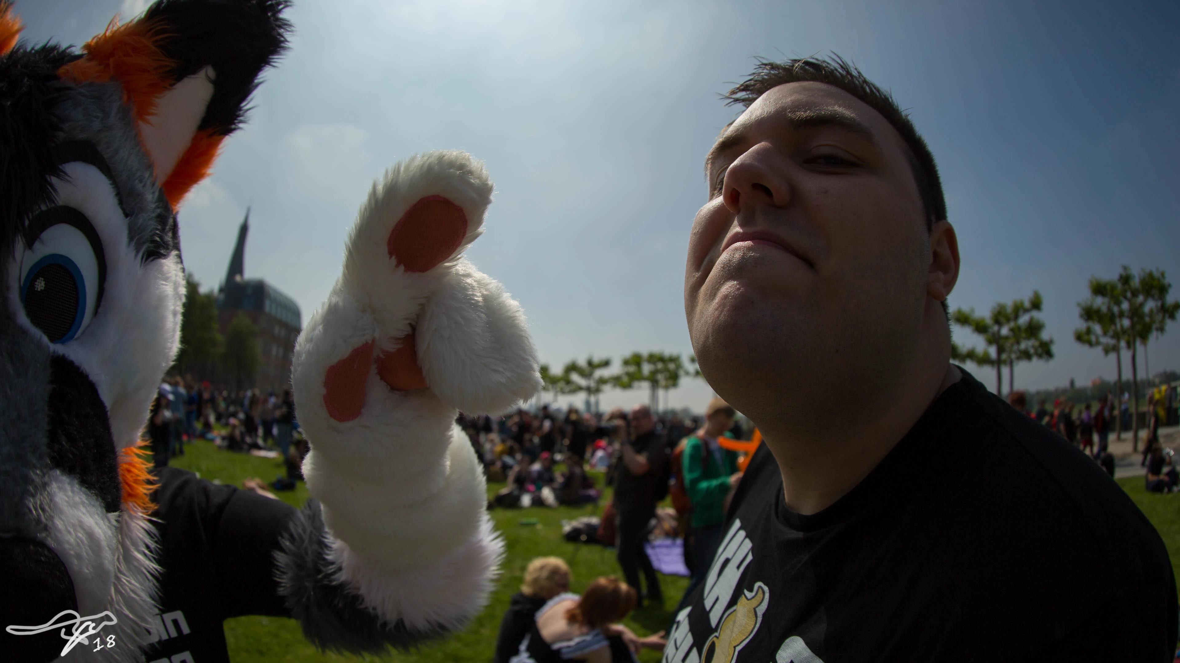 full image IMG_8012.jpg