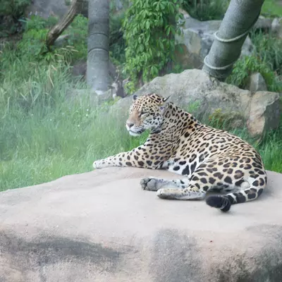3B9C1216.jpg of cons/Zoo-Krefeld-2015/