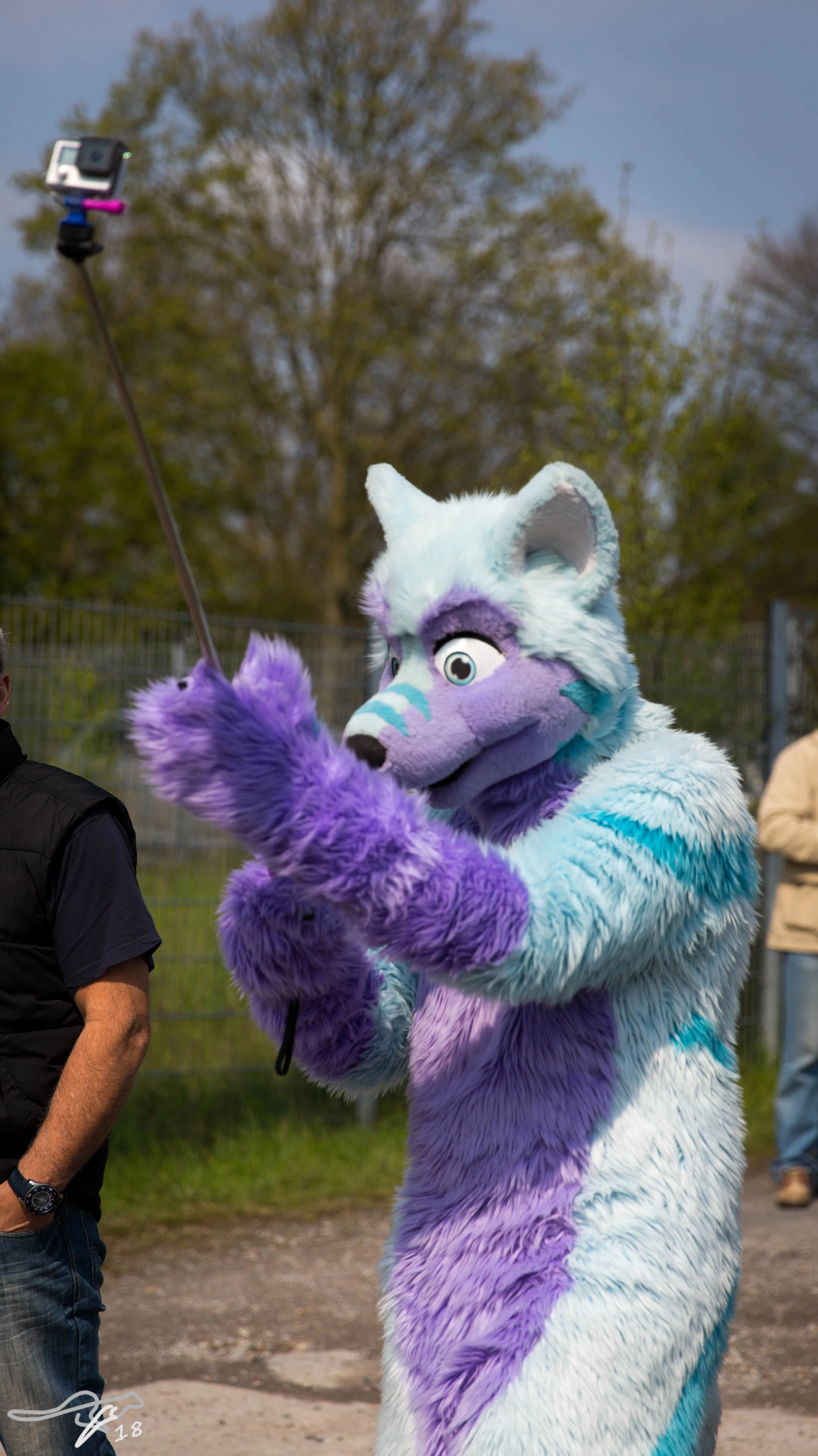 full image 3B9C6245.jpg