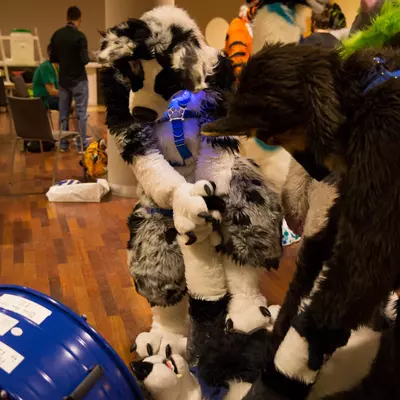 3B9C9959.jpg of cons/Eurofurence-24/
