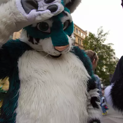 img-38.jpg of cons/Fursuitwalk-Frankfurt-2013/