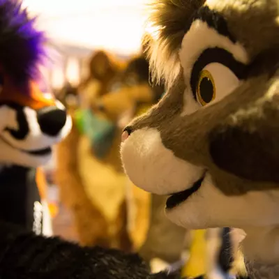 3B9C0068.jpg of cons/MFF-2018/