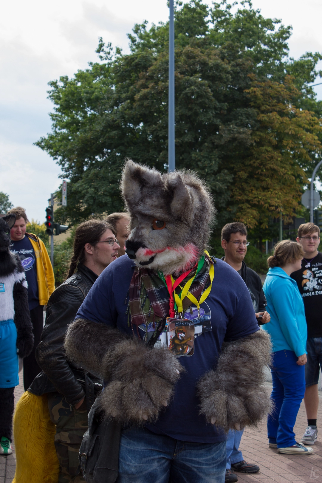 full image img-29.jpg