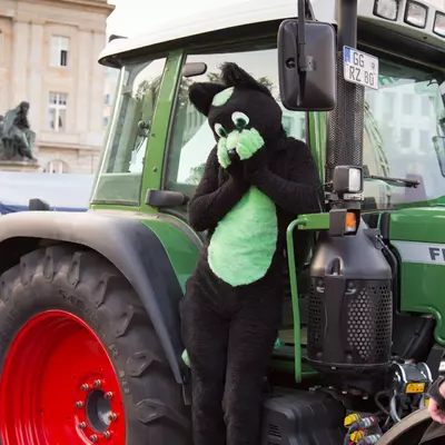 img-18.jpg of cons/Fursuitwalk-Frankfurt-2013/
