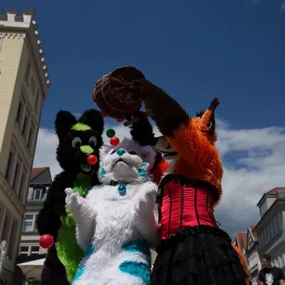 IMG_8685.jpg of cons/Fursuitwalk-Coburg-2014/