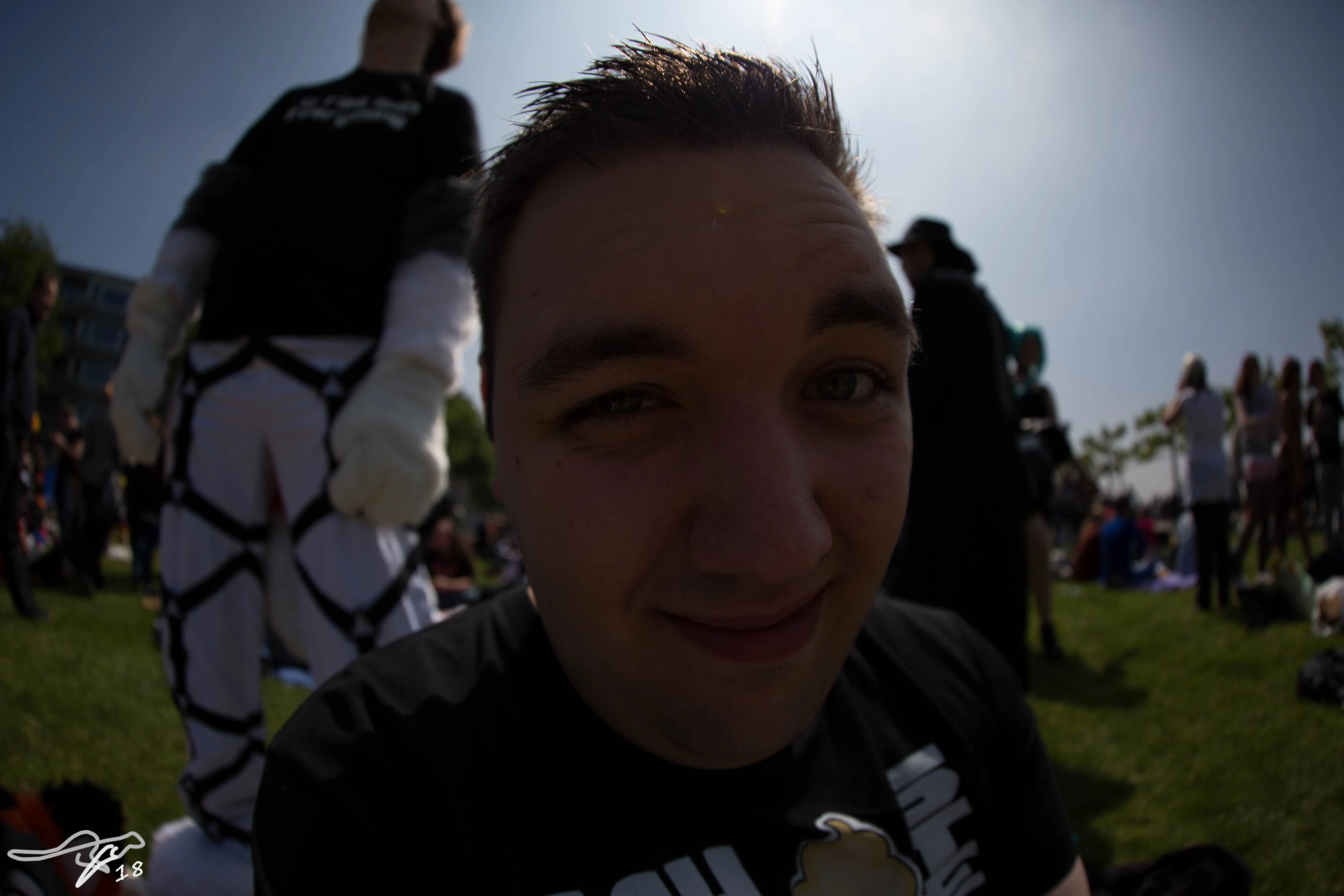 full image IMG_7993.jpg