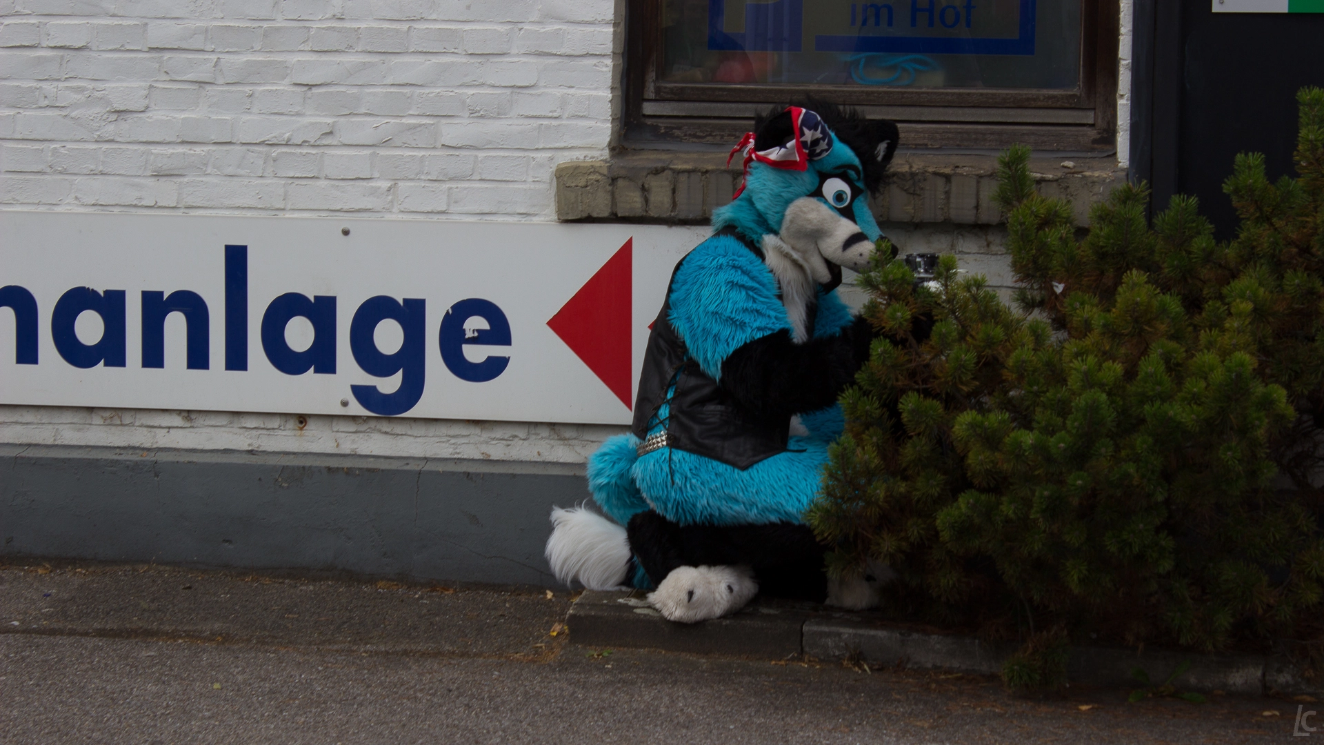full image img-33.jpg
