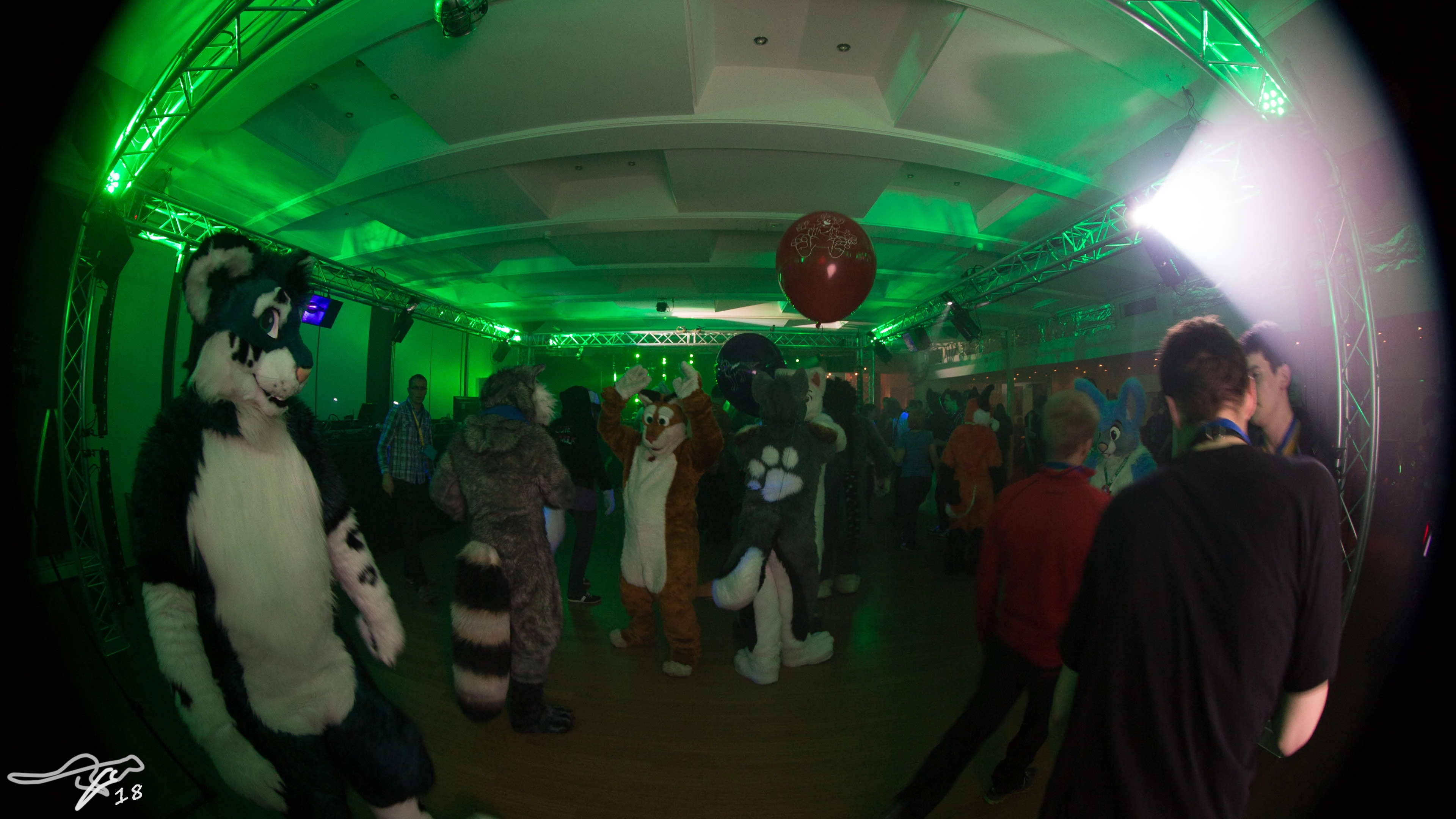 full image IMG_7463.jpg
