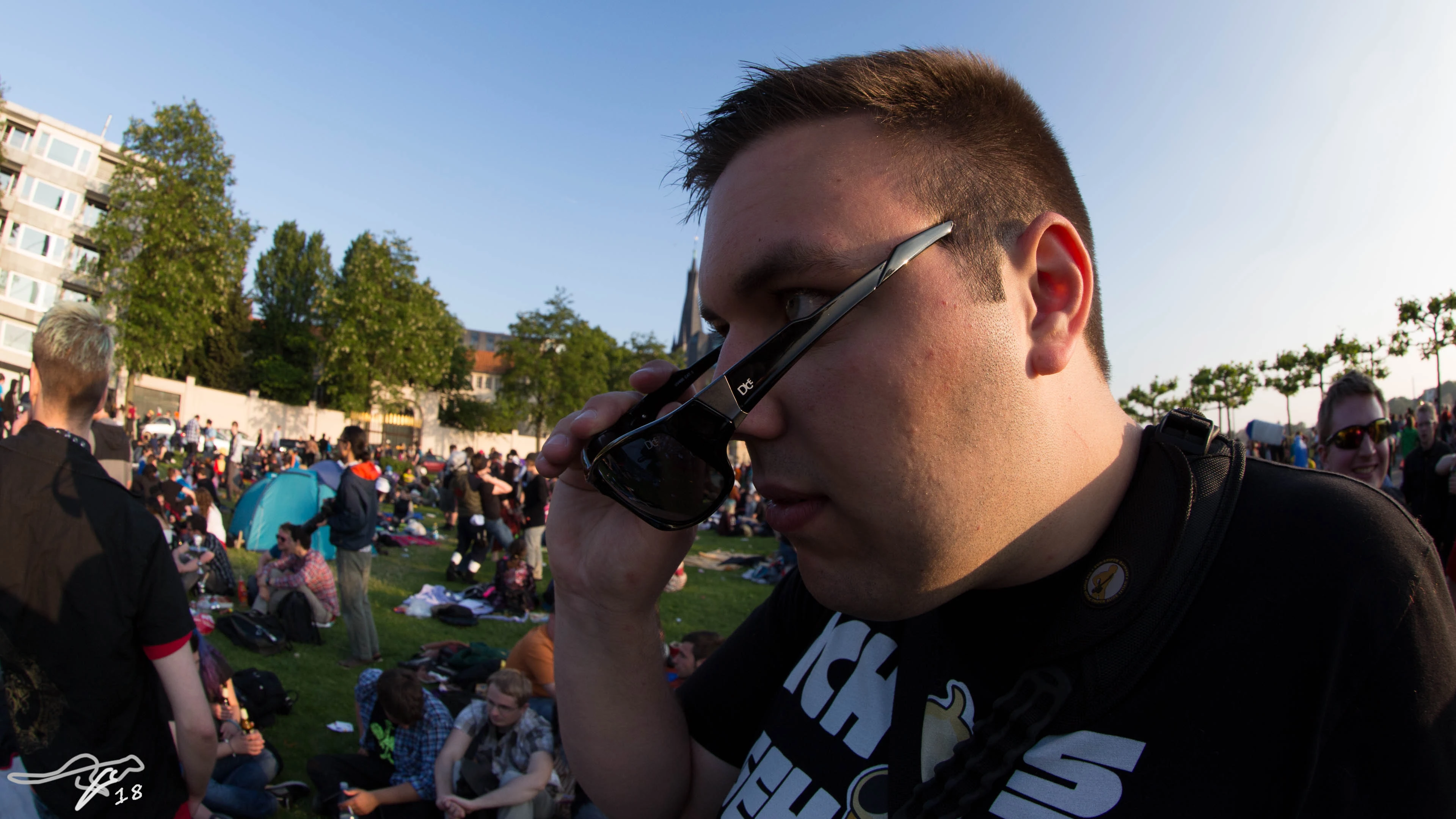 full image IMG_8290.jpg