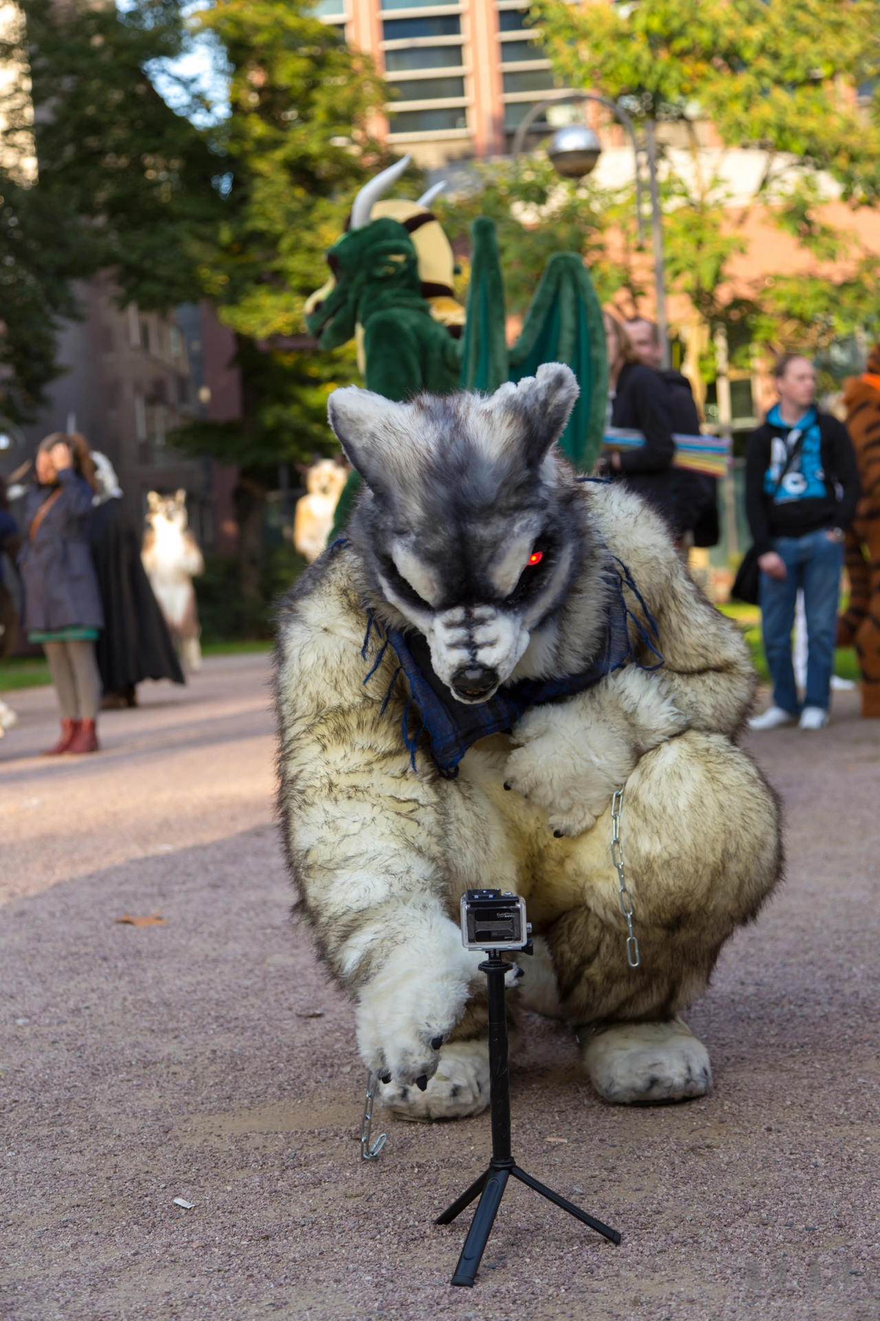 full image img-58.jpg