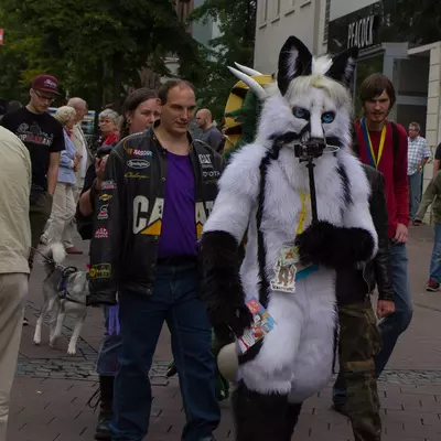 img-12.jpg of cons/Suitwalk-2013-Marl/
