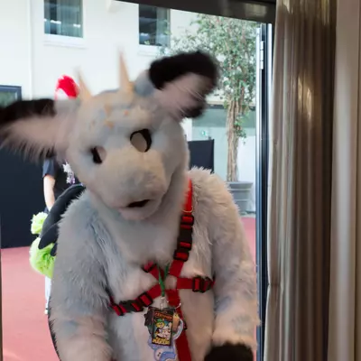 3B9C2996.jpg of cons/Eurofurence-21/