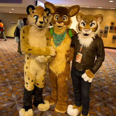 3B9C0048.jpg of cons/MFF-2018/
