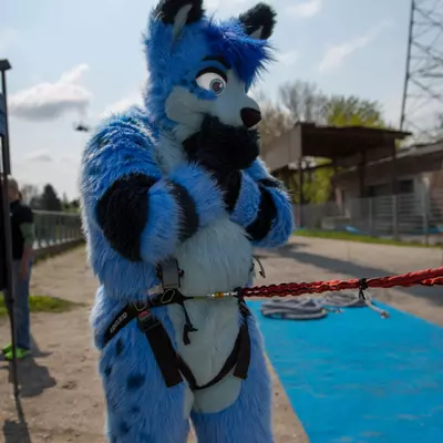 3B9C6315.jpg of cons/Fursuit-Bungeejumping-2016/