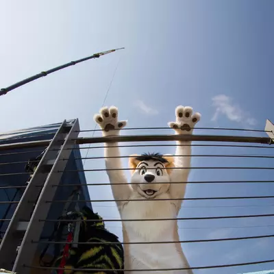 3B9C6349.jpg of cons/Fursuit-Bungeejumping-2016/