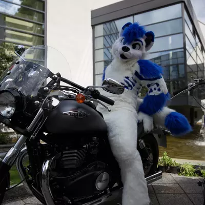 3B9C8245.jpg of cons/Eurofurence-22/