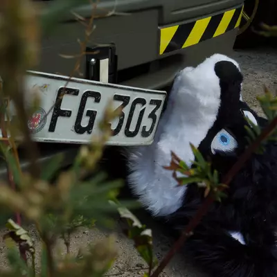 3B9C0865.jpg of cons/Eurofurence-20/