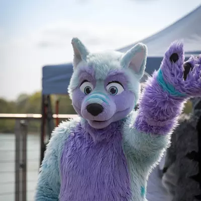 3B9C6251.jpg of cons/Fursuit-Bungeejumping-2016/