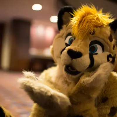 3B9C9876.jpg of cons/MFF-2018/