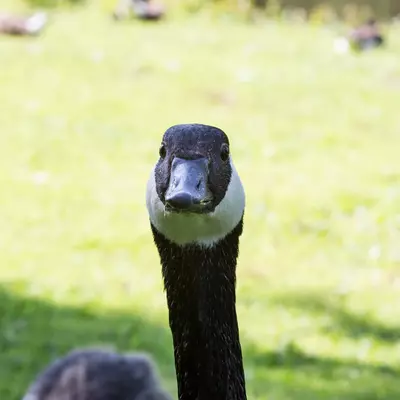 3B9C1037.jpg of 400mm/