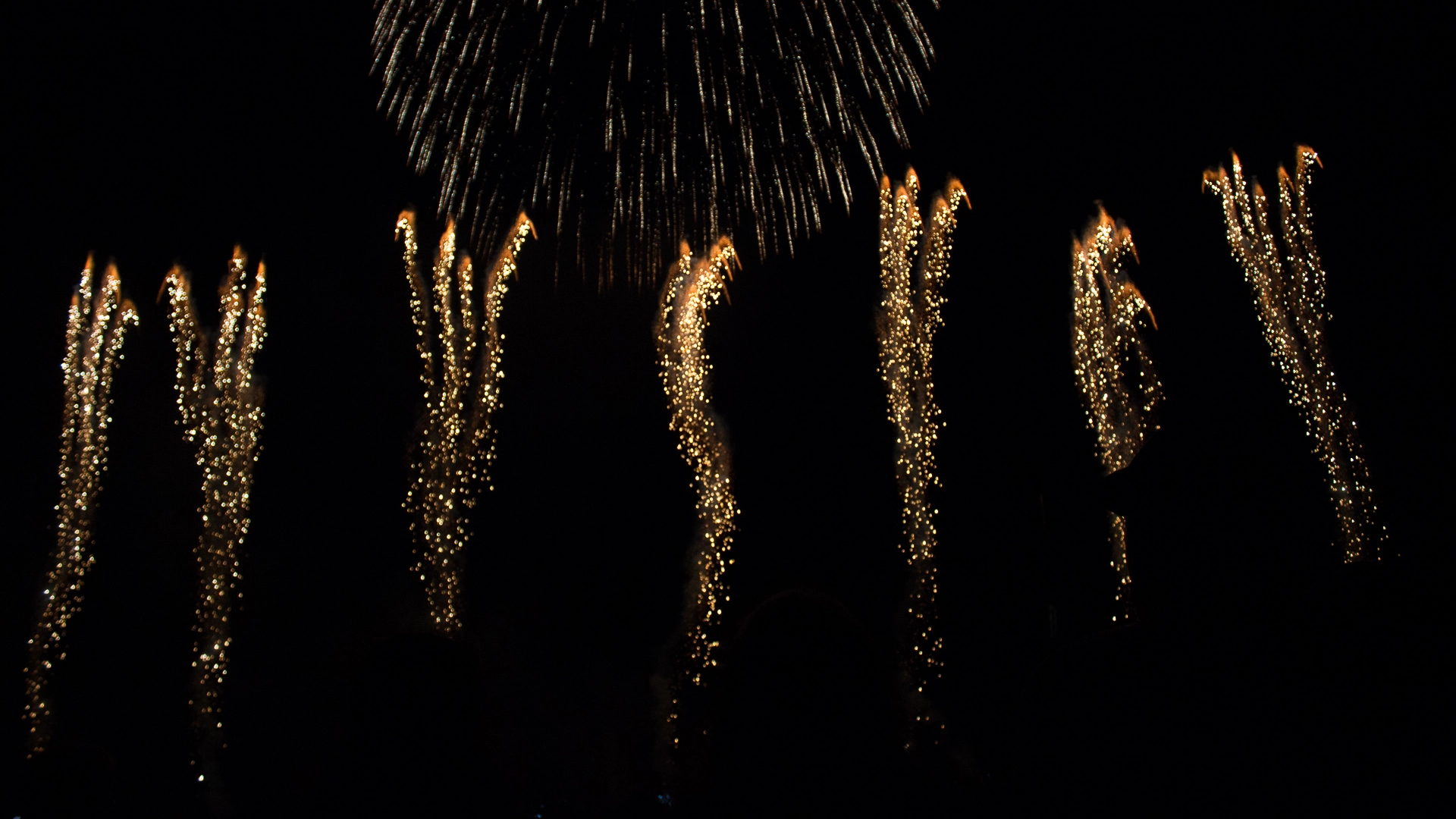 full image img-41.jpg