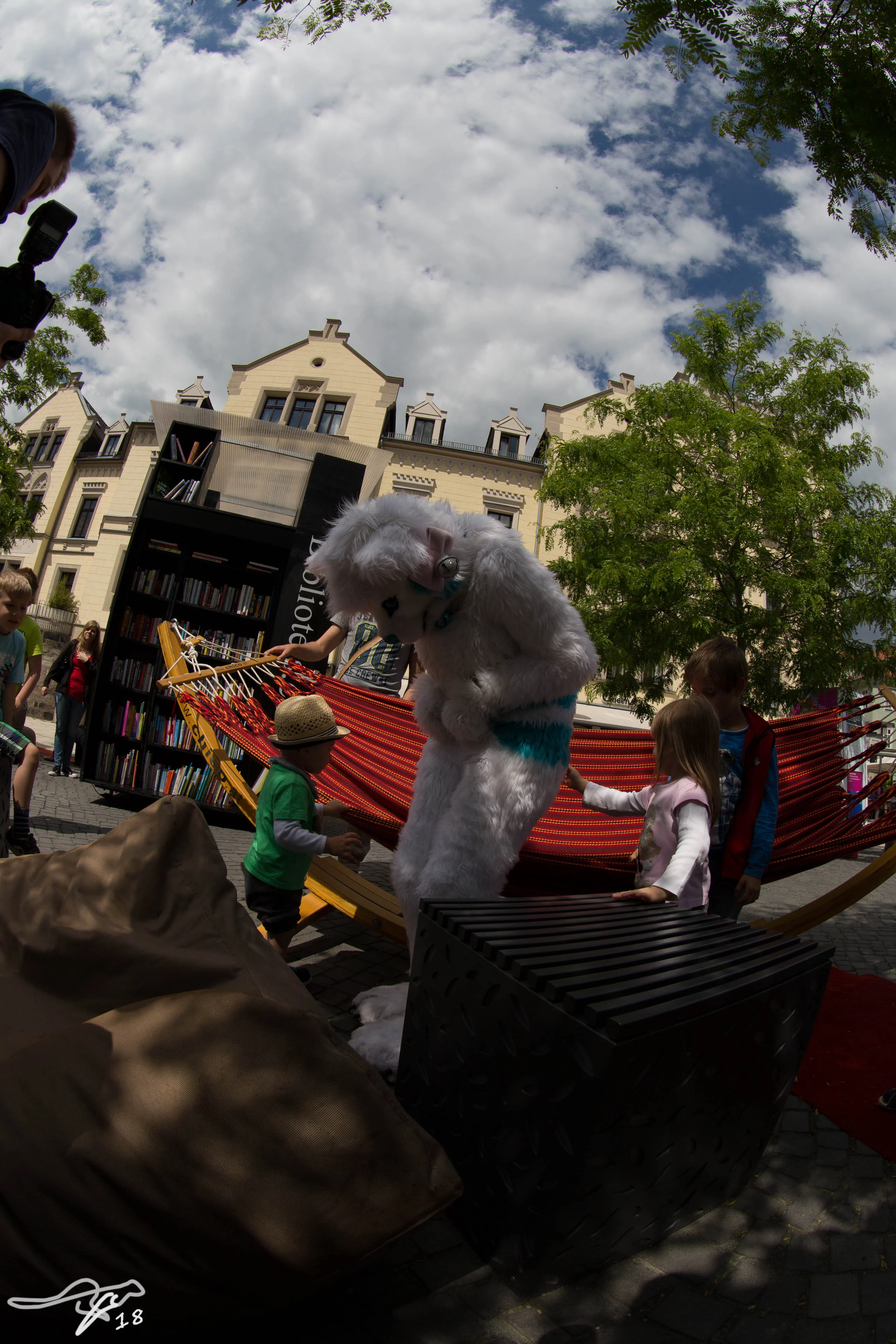 full image IMG_8772.jpg