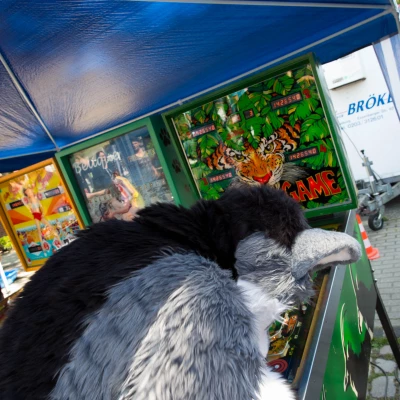 3B9C2758.jpg of cons/Animal-Rescue-2015/