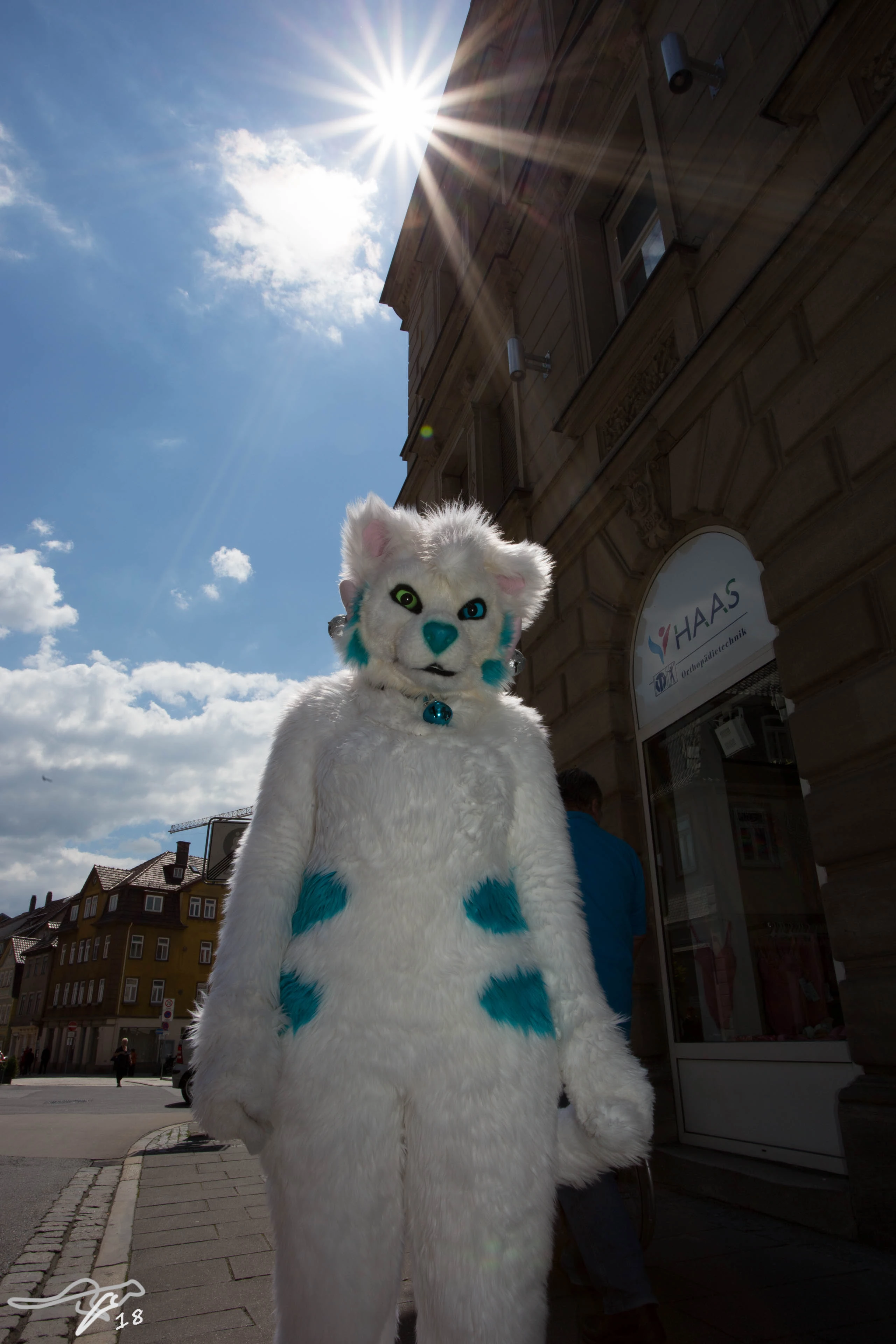 full image IMG_8623.jpg