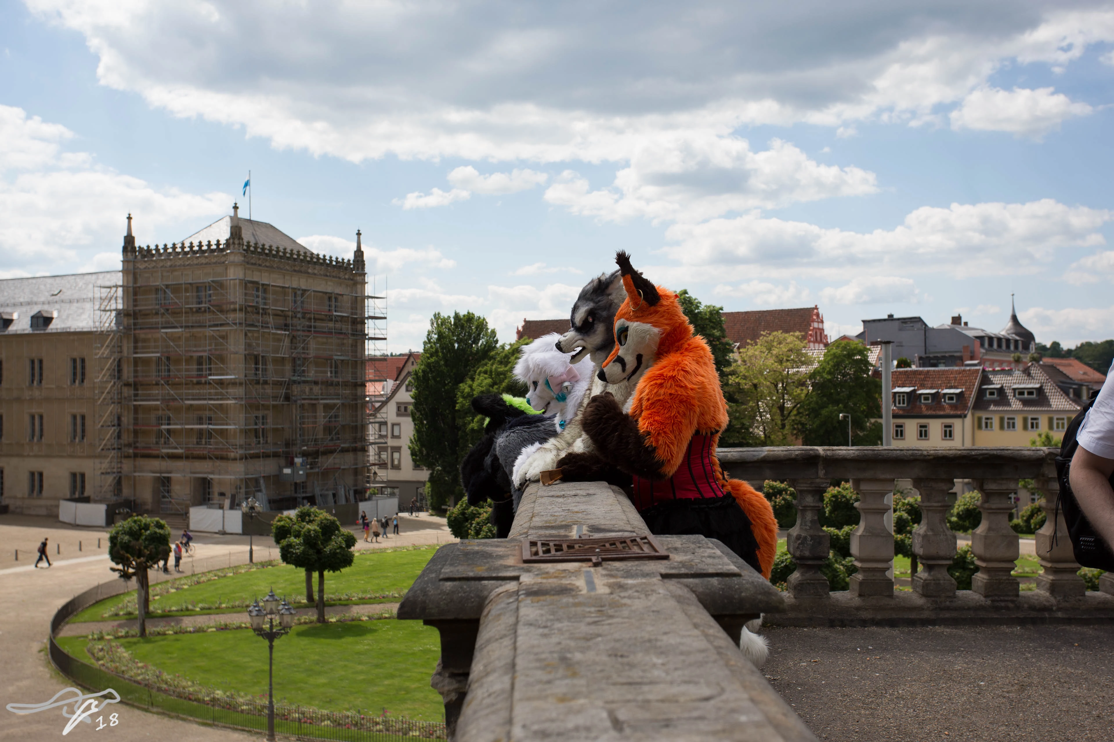 full image IMG_8816.jpg
