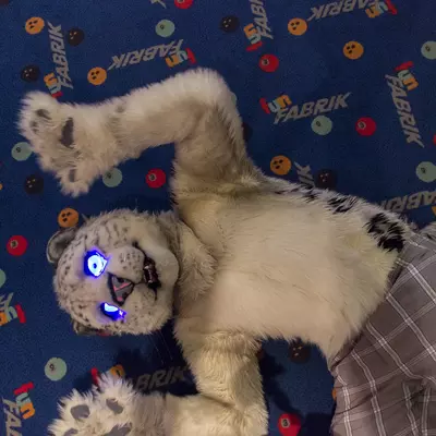fsb-33.jpg of cons/Fursuitbowlen-Wiesbaden-2013/