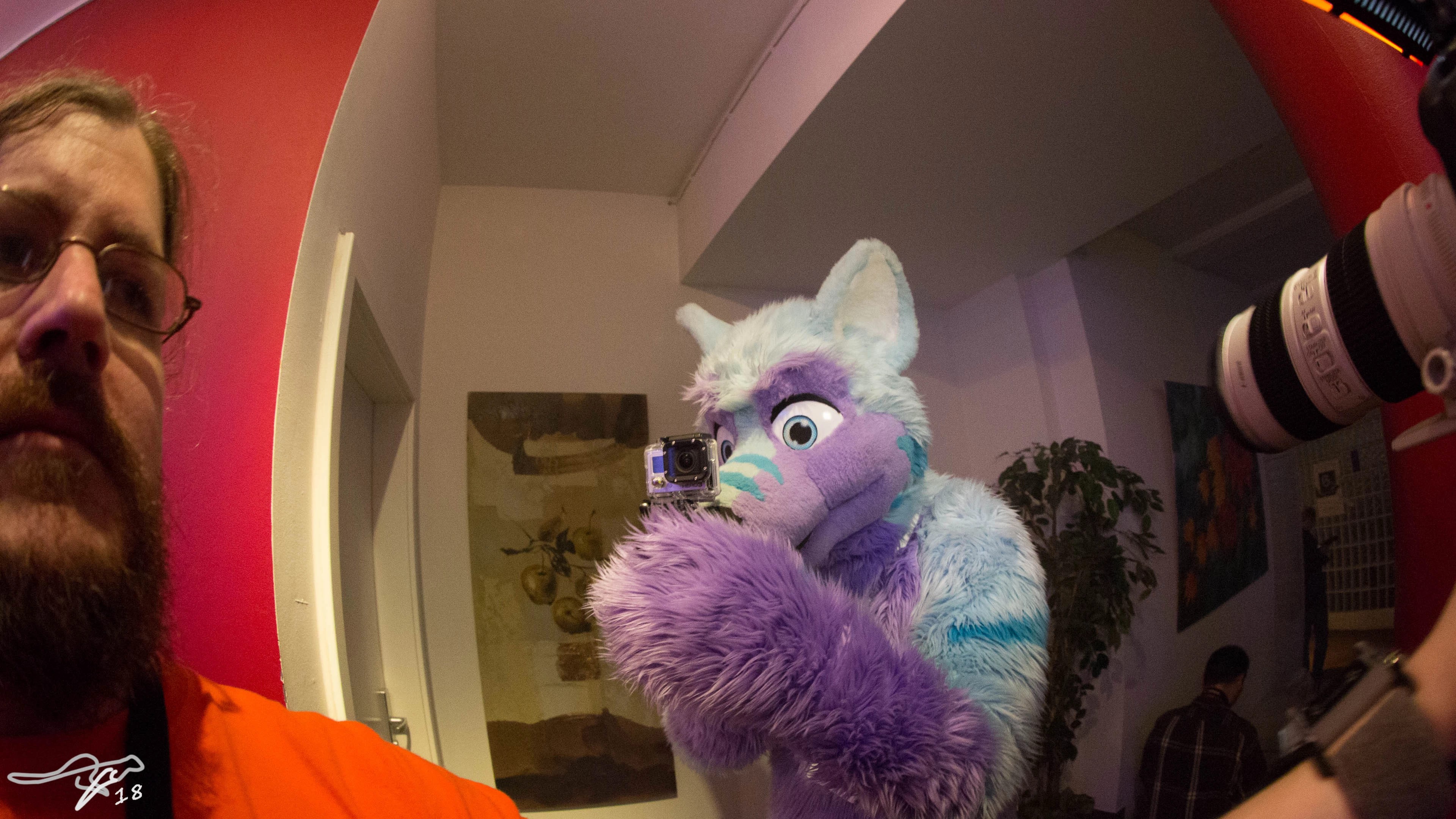 full image IMG_7399.jpg