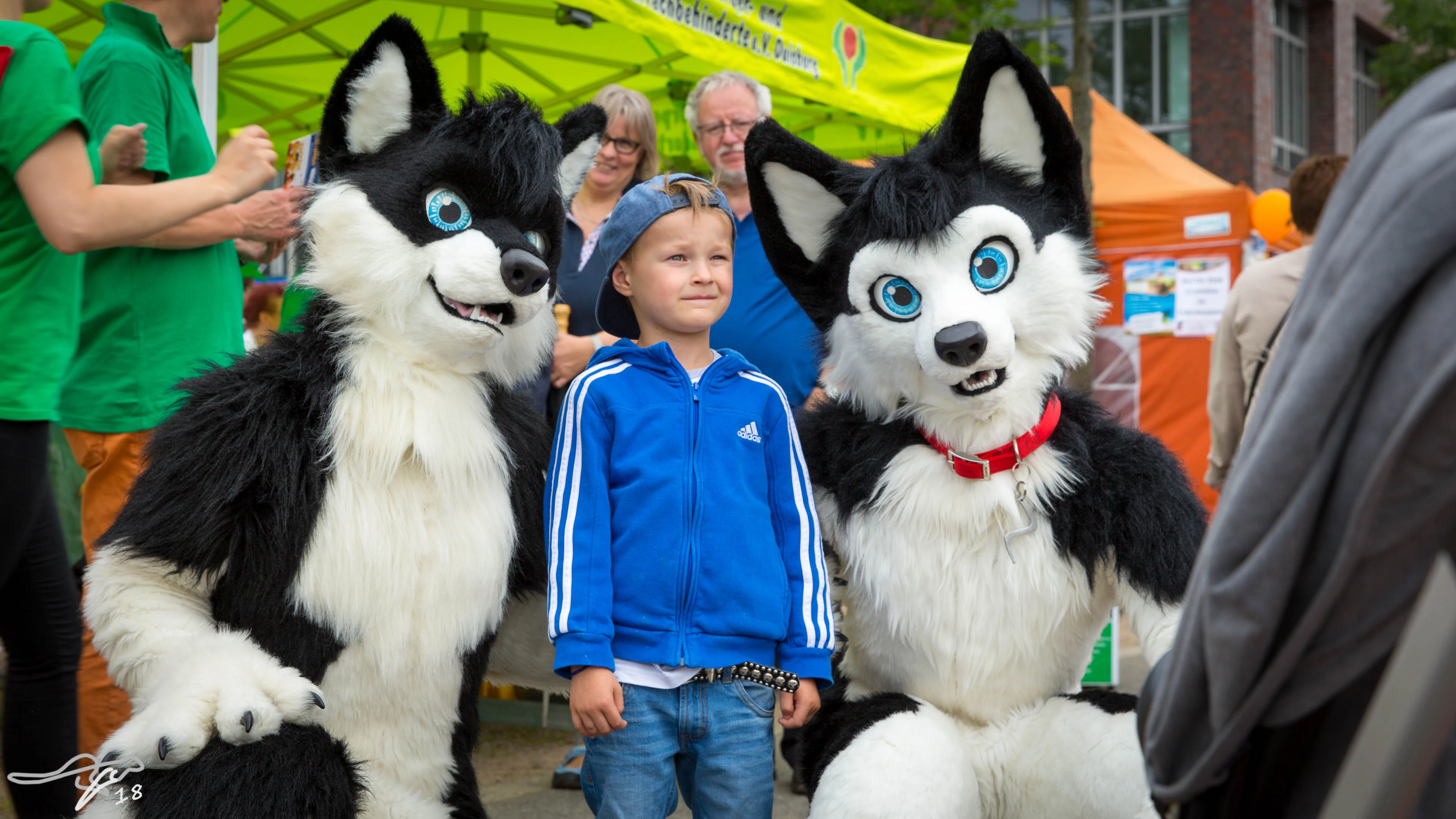 full image 3B9C6533.jpg