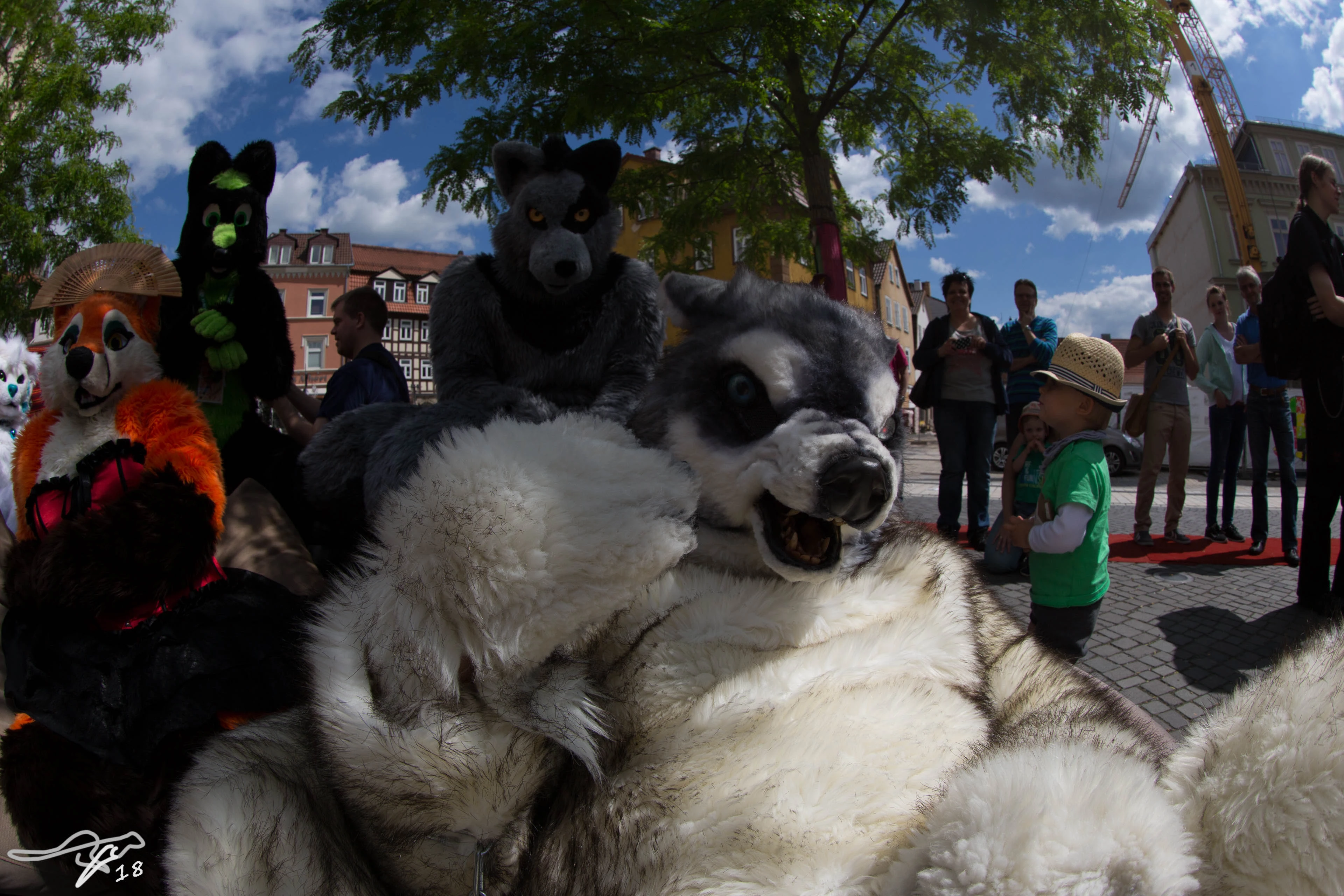 full image IMG_8766.jpg