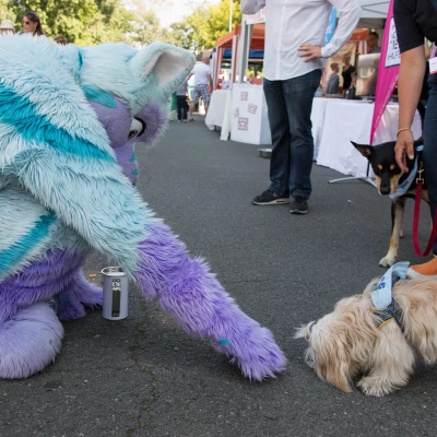 3B9C2664.jpg of cons/Animal-Rescue-2015/