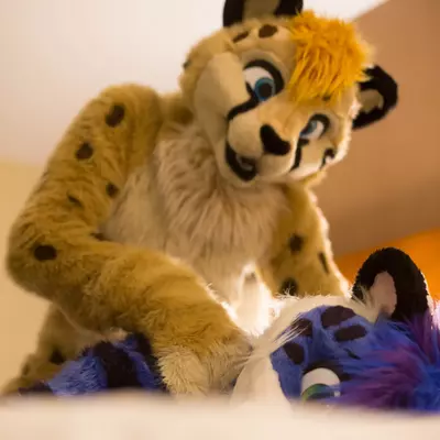 3B9C9730.jpg of cons/MFF-2018/