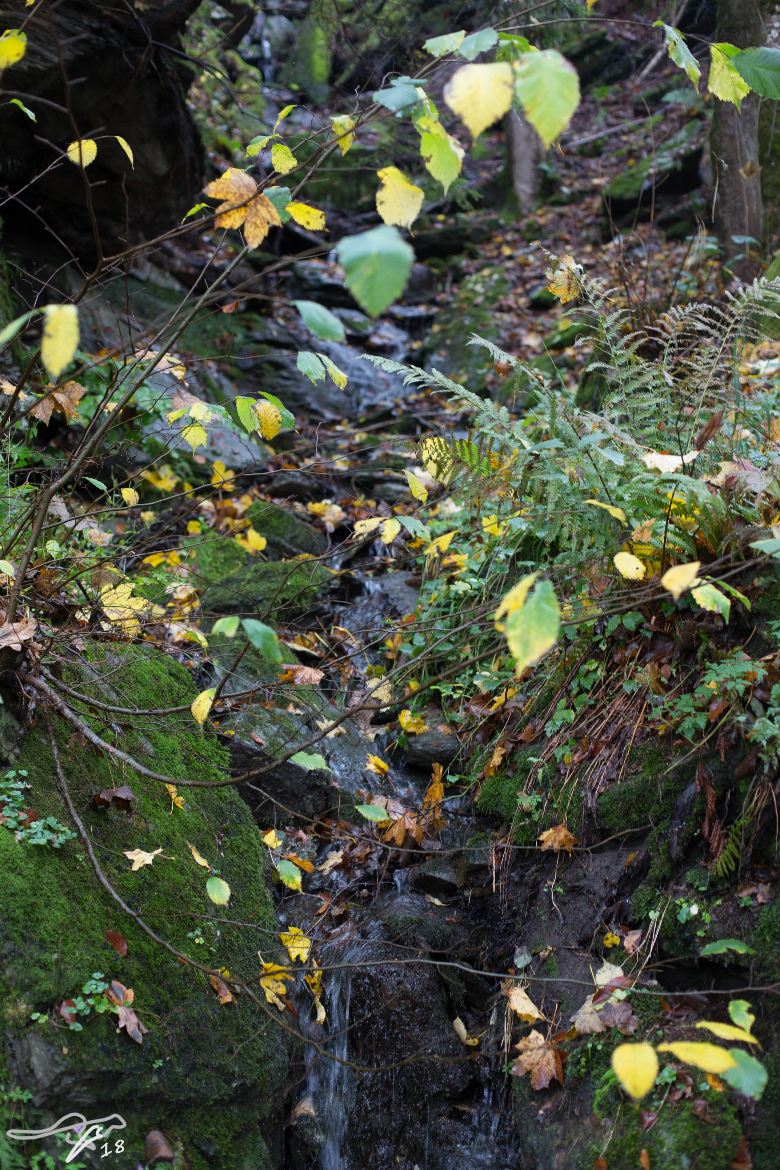 full image 3B9C0035.jpg
