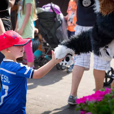 3B9C2389.jpg of cons/Flugplatzfest-2015/