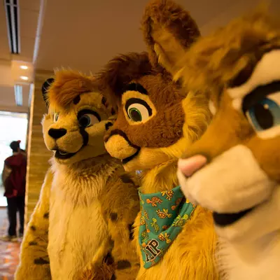 3B9C0050.jpg of cons/MFF-2018/