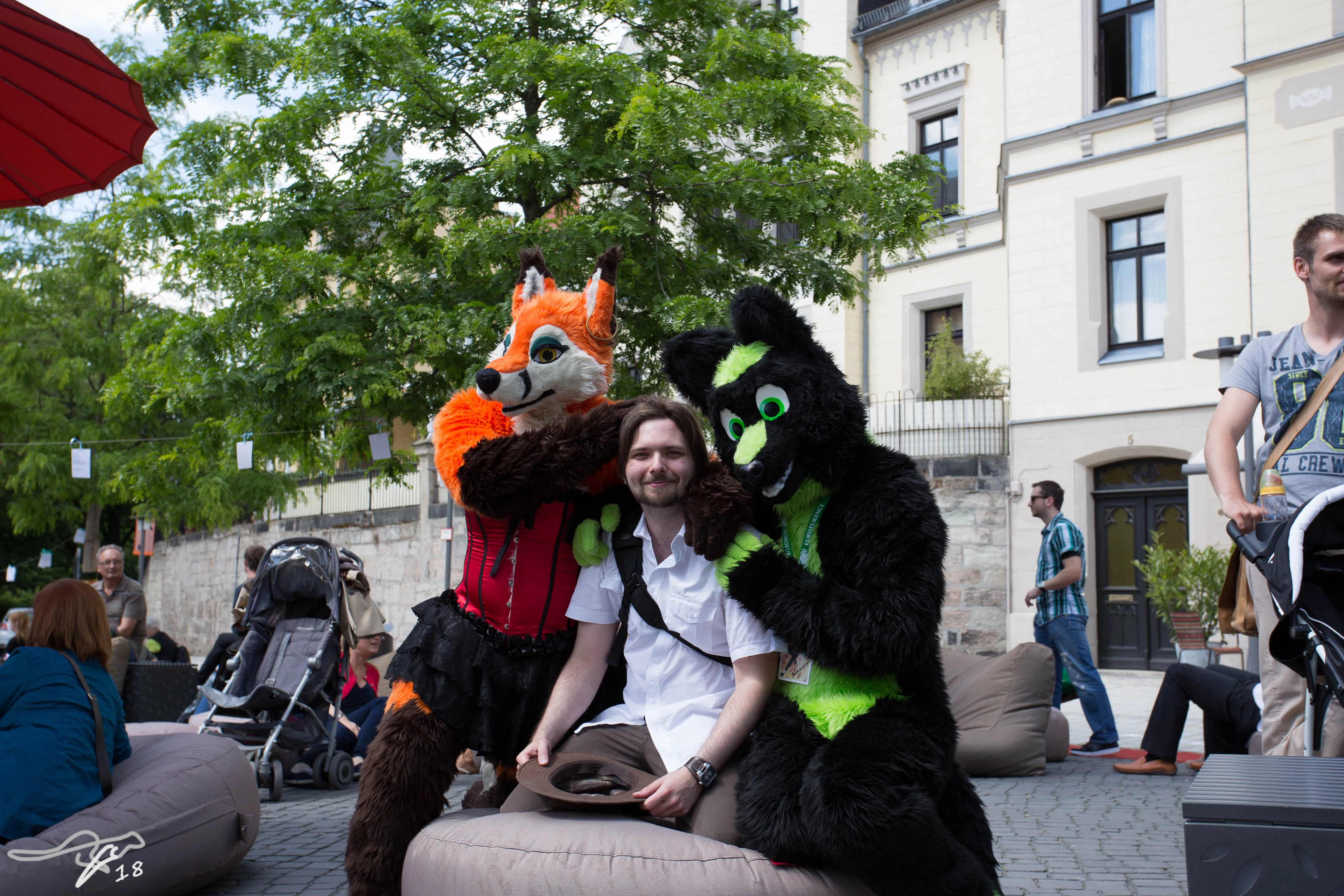 full image IMG_8730.jpg