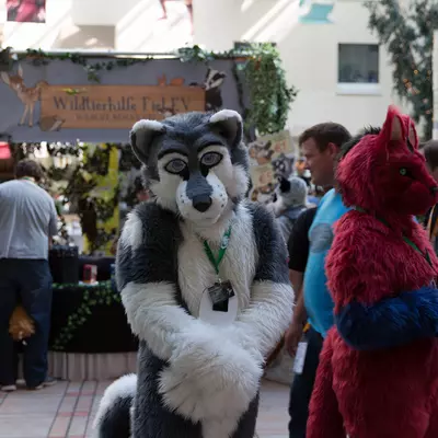 3B9C2894.jpg of cons/Eurofurence-21/