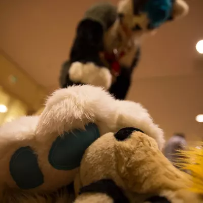 3B9C9884.jpg of cons/Eurofurence-24/