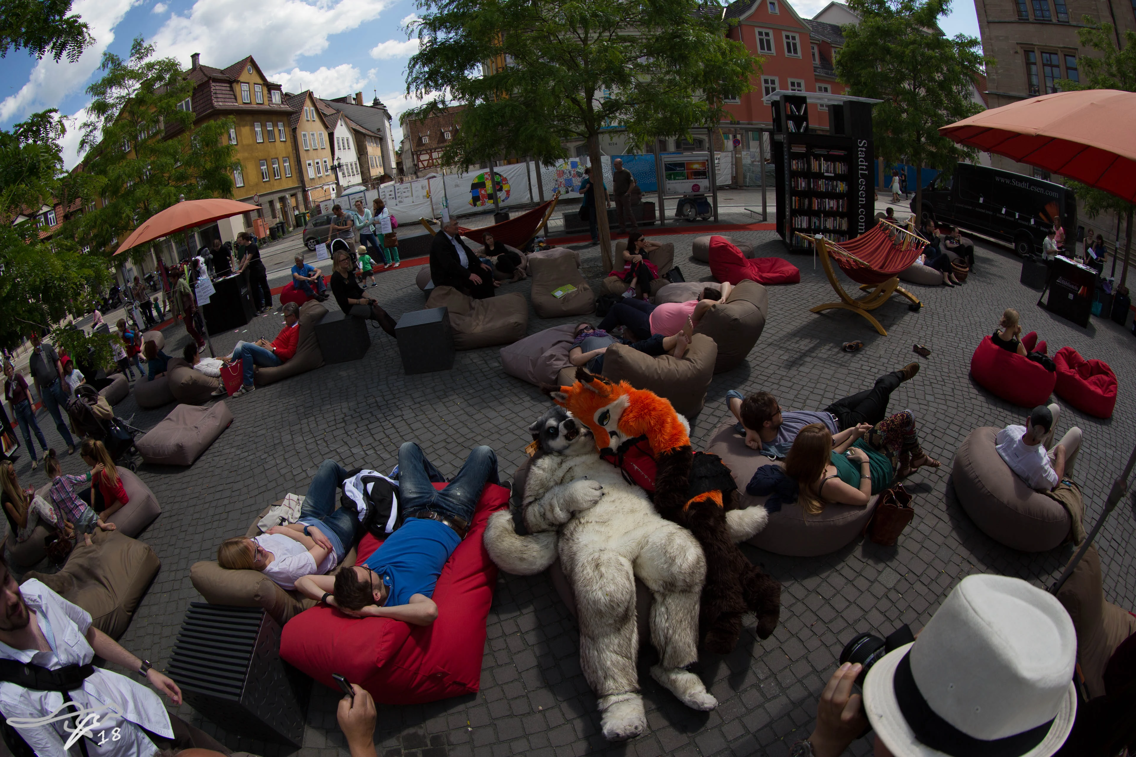 full image IMG_8751.jpg