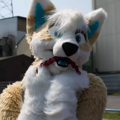 3B9C6374.jpg of cons/Fursuit-Bungeejumping-2016/
