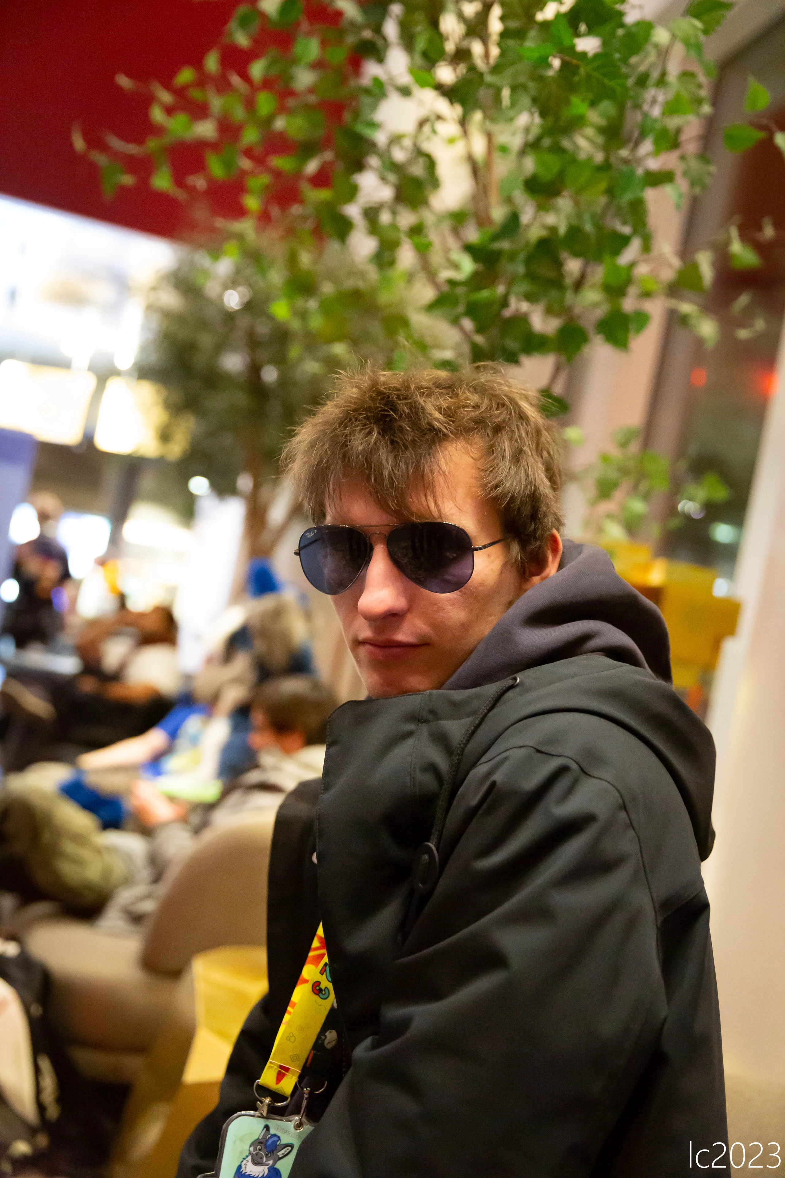 full image 3B9C2085Yellow.jpg