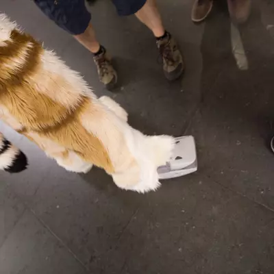 3B9C8426.jpg of cons/Eurofurence-22/