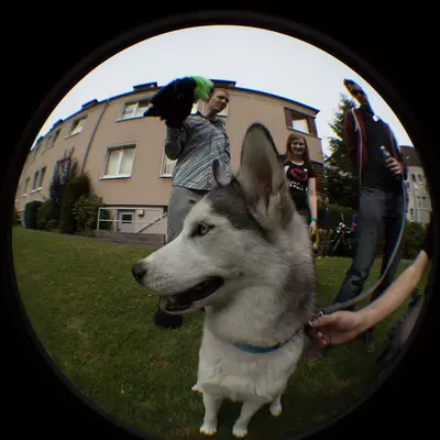 Next album: Suitwalk-2013-Marl