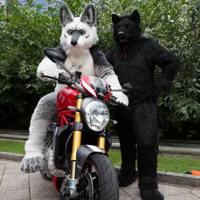 3B9C8231.jpg of cons/Eurofurence-22/