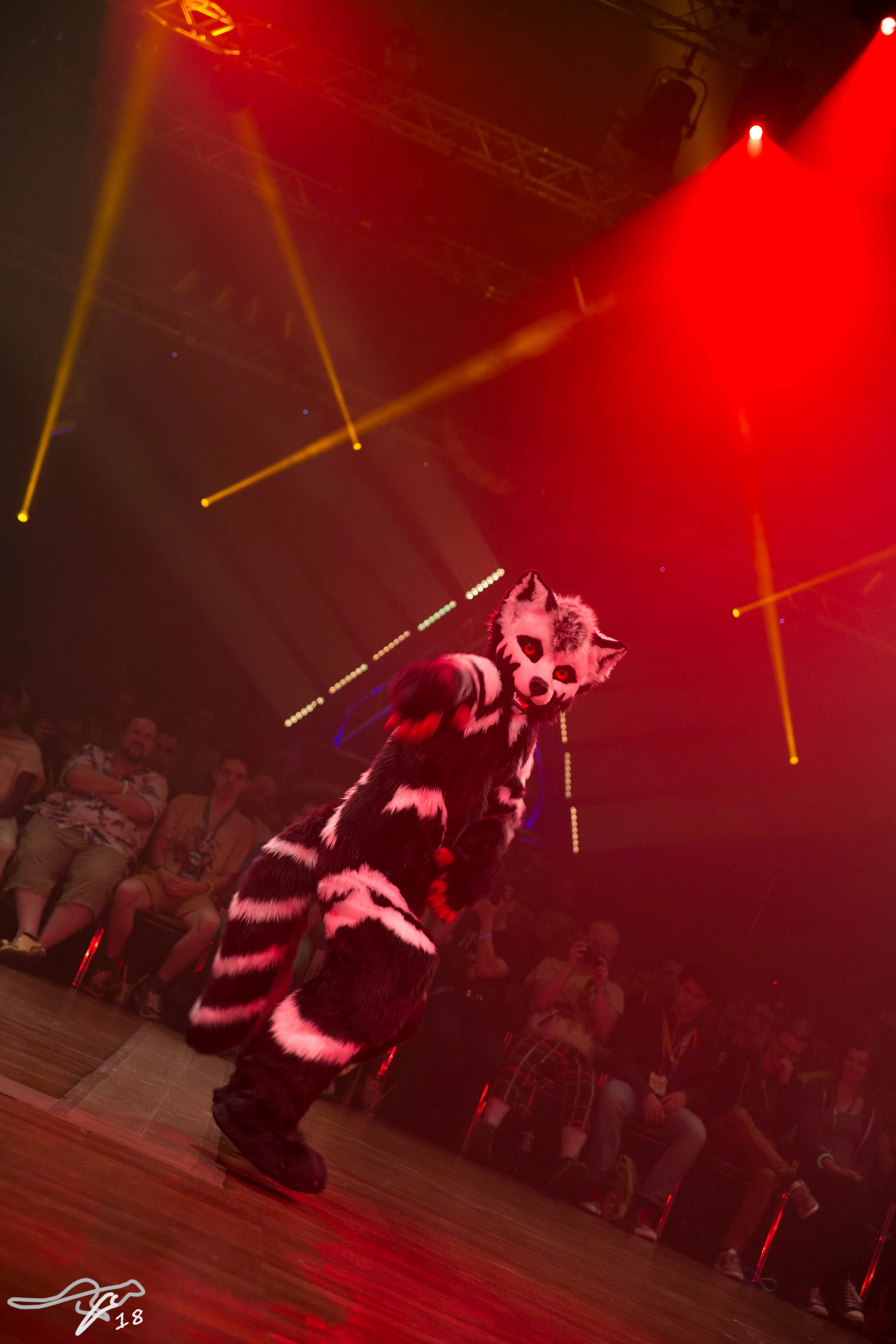 full image 3B9C1109.jpg